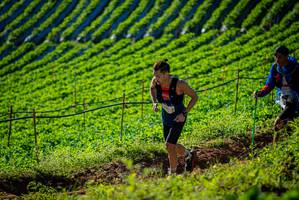 BIB: 
                            <button type="button" onclick="openModal(19160453)" class="btn btn-primary btn-sm float-right btn-popup" data-toggle="modal" data-target=".modal-high-quality">
                        <i class="fas fa-shopping-cart"></i> Add to Cart
                    </button>
                                            <button type="button" onclick="isThisMe(19160453, true)" class="btn btn-success btn-sm float-right btn-popup btn-isme hidden" data-toggle="tooltip" data-placement="bottom" title="นี่คือรูปของคุณใช่ไหม คลิกที่นี่เพื่อเอาเข้าอัลบั้ม">
                        <i class="fas fa-plus"></i> Add to album
                    </button>
                    <button type="button" onclick="isThisMe(19160453, false)" class="btn btn-warning btn-sm float-right btn-popup btn-isnotme hidden">
                        <i class="fas fa-ban"></i> Remove from album
                    </button>